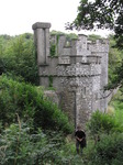 SX08080 Wouko climbing bank at gatehouse of Dunraven Castle.jpg